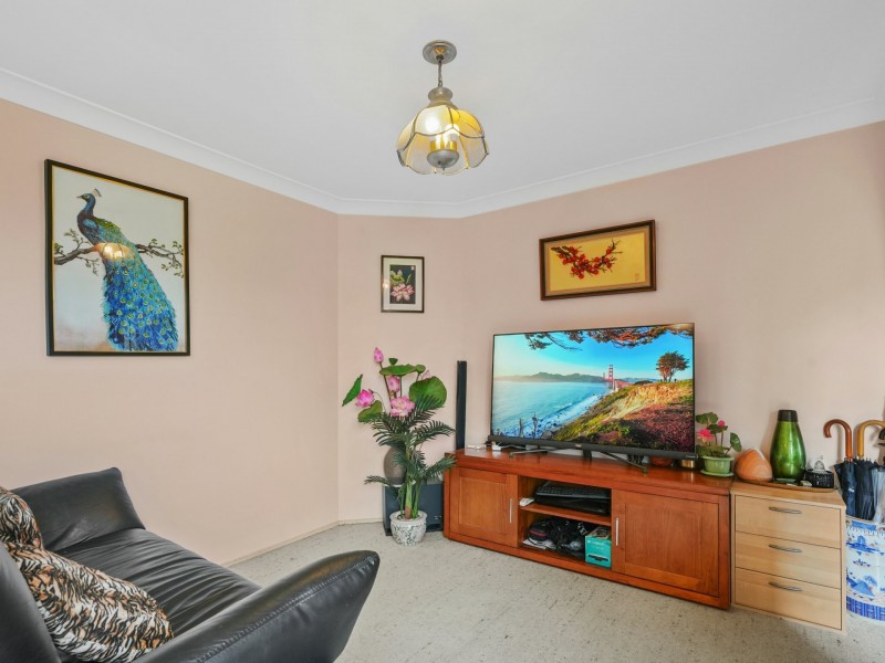 18 Randall Avenue, Minto NSW 2566