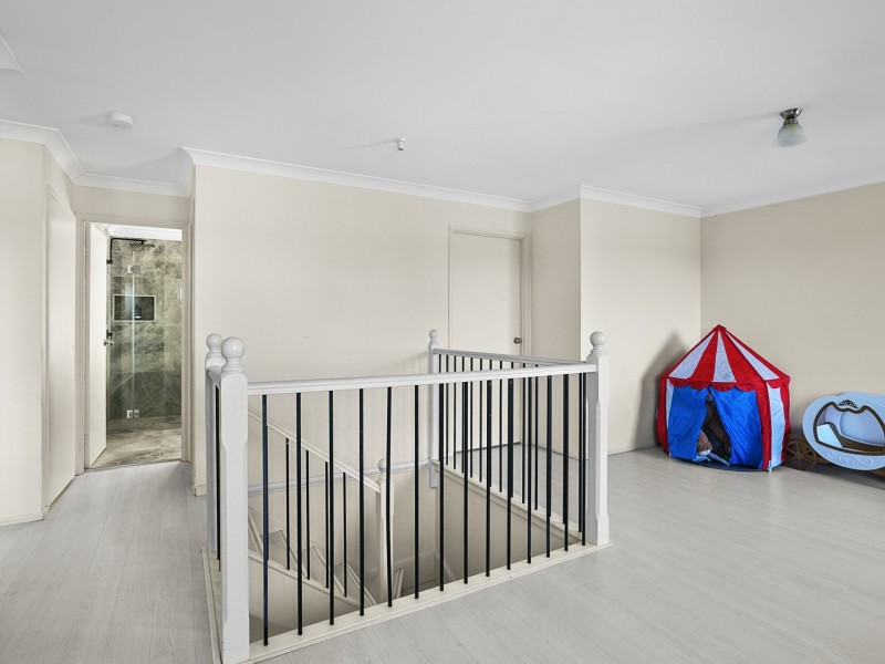 14 Clark Place, Minto NSW 2566