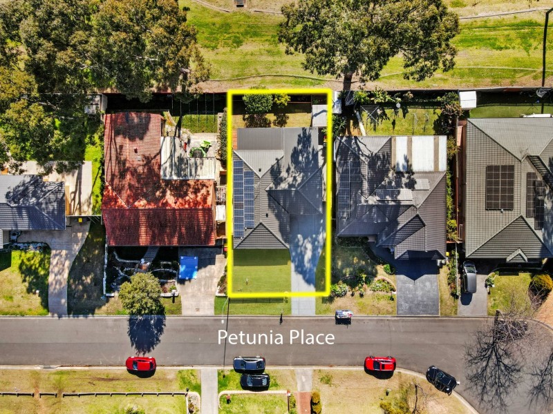17 Petunia Place, Macquarie Fields NSW 2564