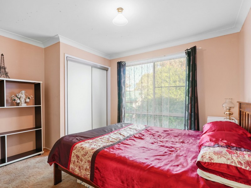 20 Francis Street, Minto NSW 2566