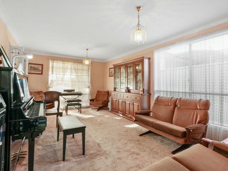 20 Francis Street, Minto NSW 2566