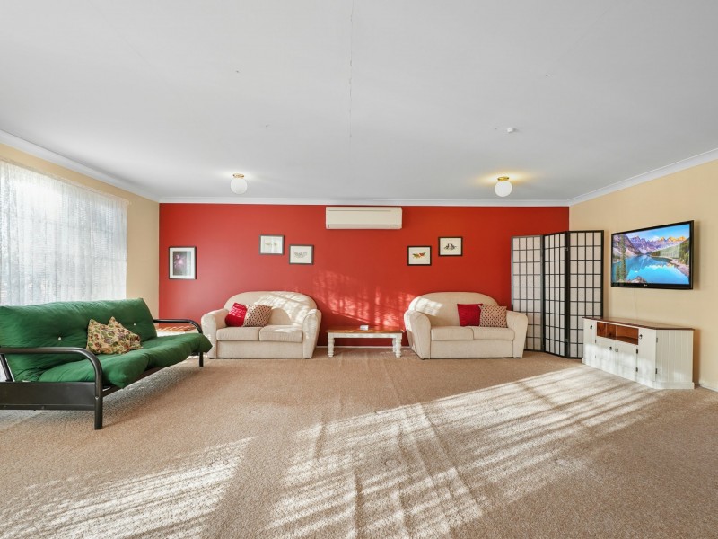 20 Francis Street, Minto NSW 2566