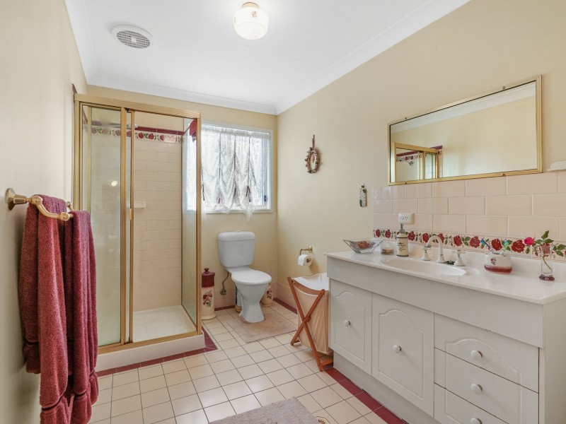 20 Francis Street, Minto NSW 2566