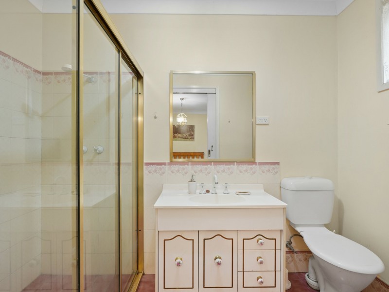 20 Francis Street, Minto NSW 2566