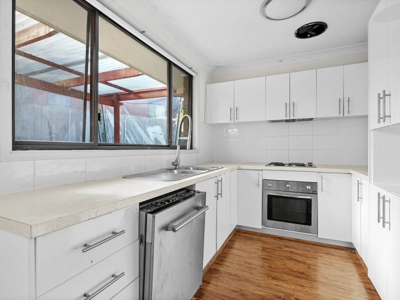 62 Randall Avenue, Minto NSW 2566