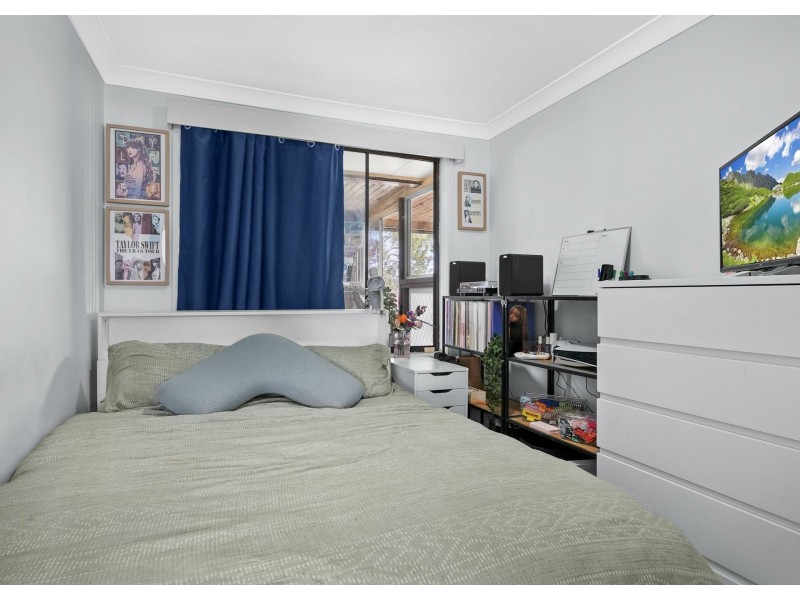 16 Herborn Place, Minto NSW 2566