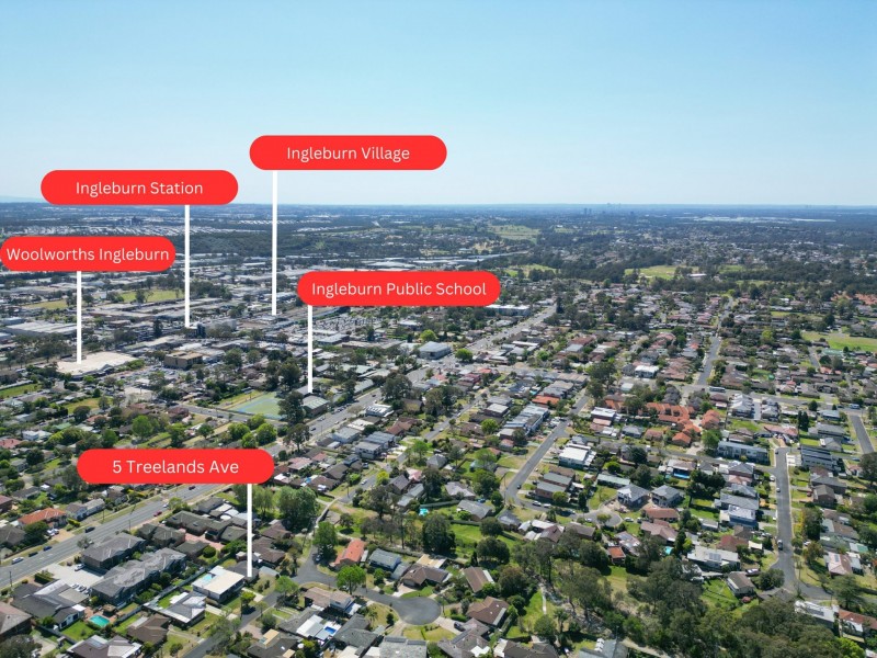 5 Treelands Avenue, Ingleburn NSW 2565