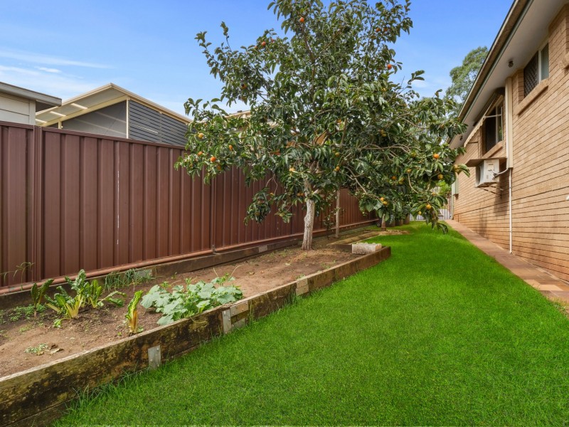 222 Eagleview Road, Minto NSW 2566