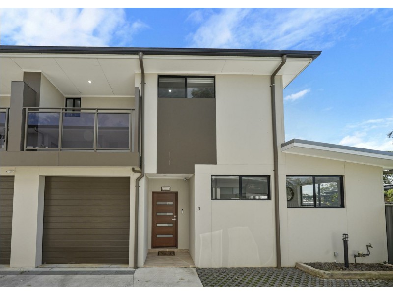 3/8 Durham Street, Minto NSW 2566