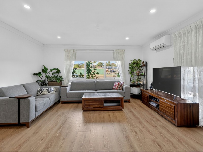 3 Hanlon Close, Minto NSW 2566