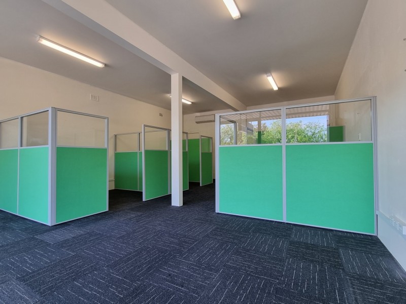 124 Waldron Road, Chester Hill NSW 2162