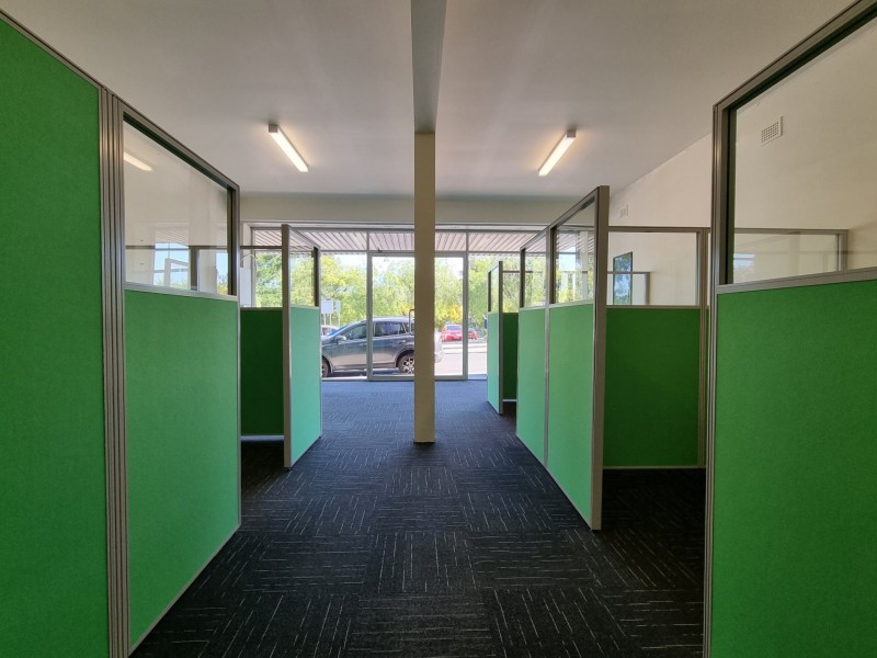 124 Waldron Road, Chester Hill NSW 2162