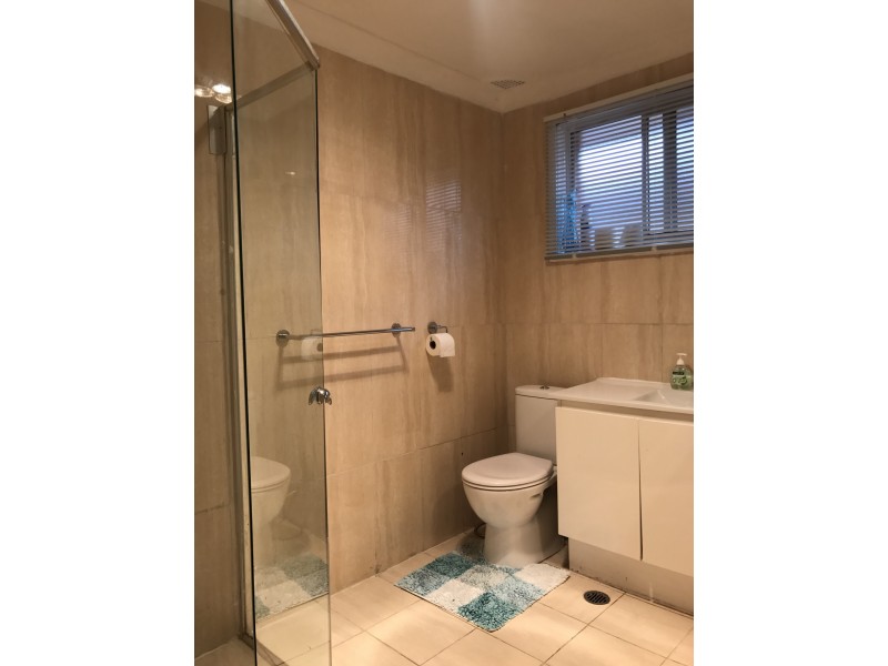 62 Adeline Street, Bass Hill NSW 2197