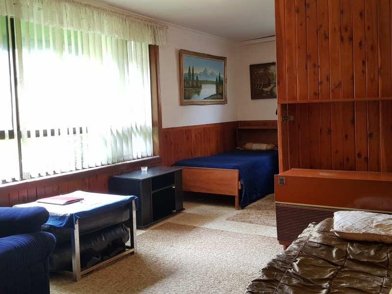 2 Ian Crescent, Chester Hill NSW 2162