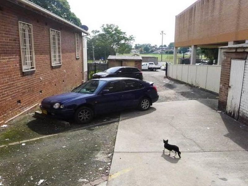 1B Amy Street, Regents Park NSW 2143