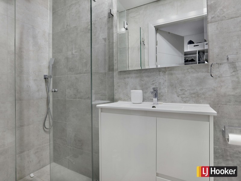 239 Miller Road, Bass Hill NSW 2197