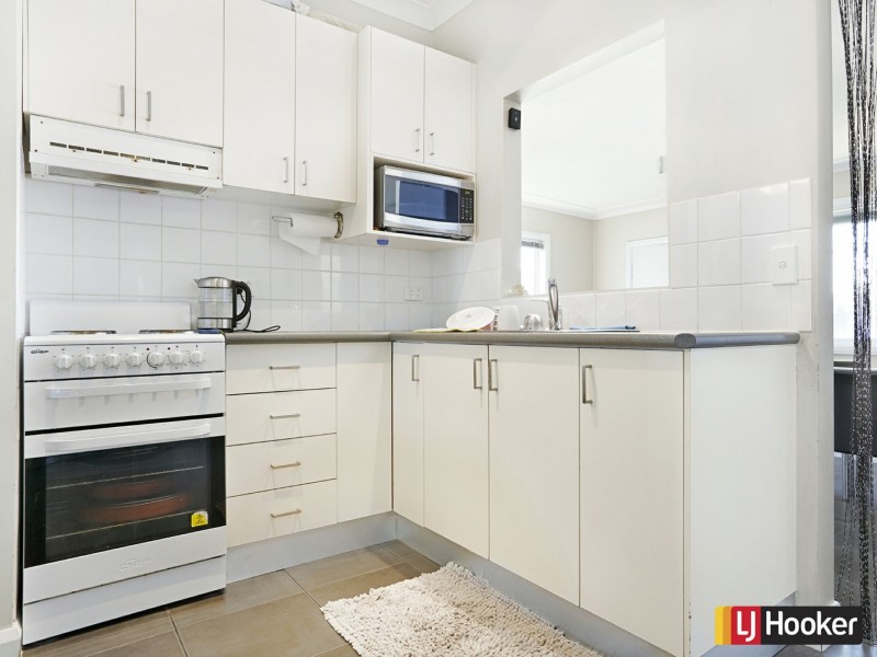 29 Dorothy Street, Chester Hill NSW 2162