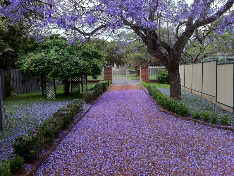 4 Martin Street, Roselands NSW 2196