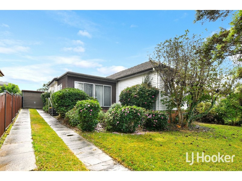 38 Esme Avenue, Chester Hill NSW 2162