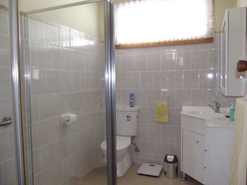 158 Hector Street, Chester Hill NSW 2162