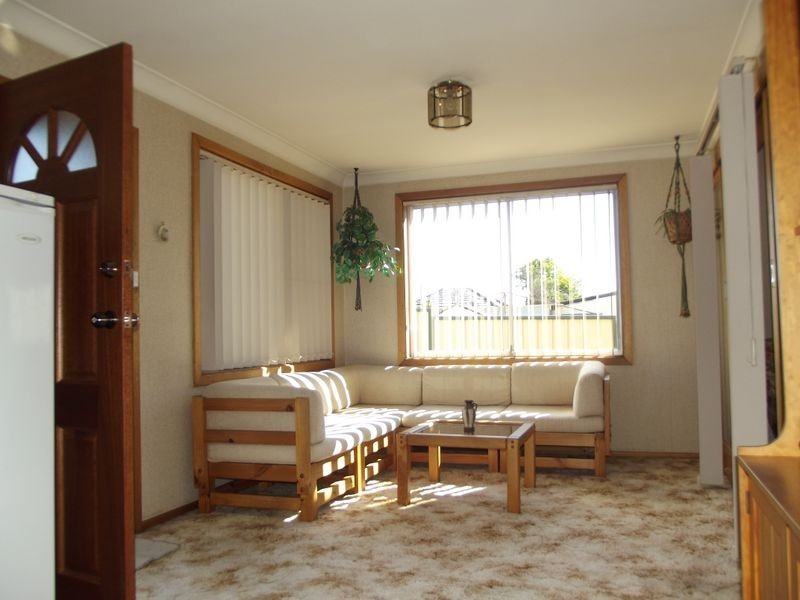 158 Hector Street, Chester Hill NSW 2162