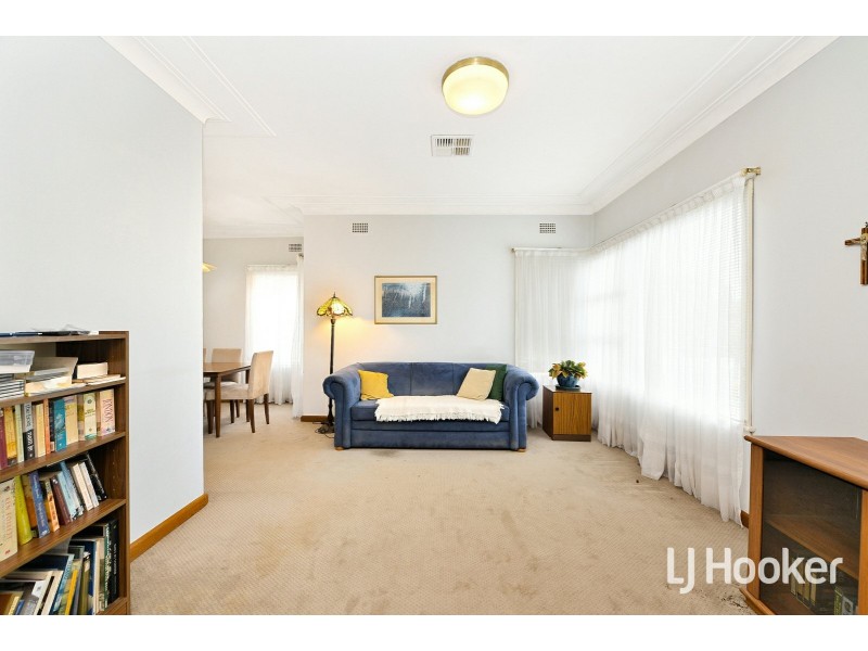 17 Greendale Crescent, Chester Hill NSW 2162