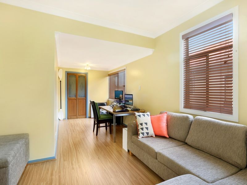 53 Merle Street, Chester Hill NSW 2162