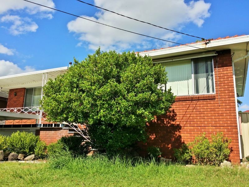 2 Dawn Avenue, Chester Hill NSW 2162