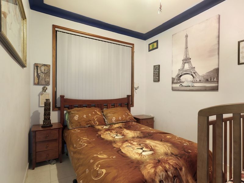 17 Robertson Road, Chester Hill NSW 2162