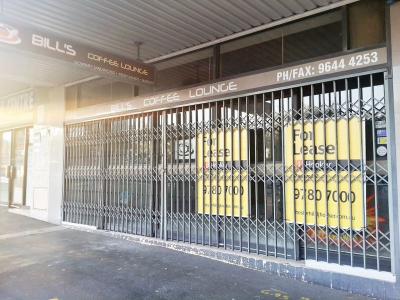 124 Waldron Road, Chester Hill NSW 2162