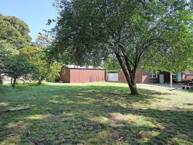 19 Sunhill Avenue, Ringwood VIC 3134