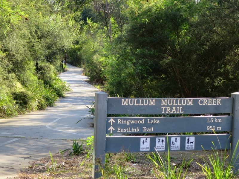 2/12 Nelson Street, Ringwood VIC 3134