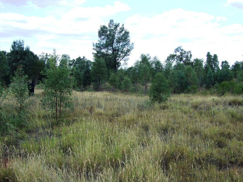LOT 17 BANJARRA DRIVE, Charleville QLD 4470