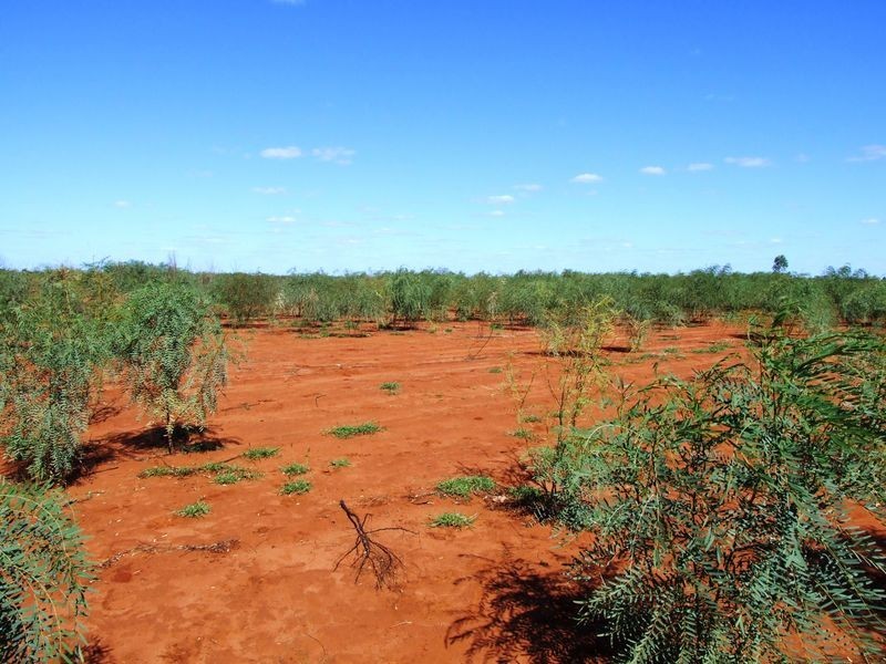 LOT 30 ALBERT PARK ROAD, Charleville QLD 4470