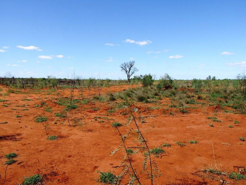 LOT 30 ALBERT PARK ROAD, Charleville QLD 4470