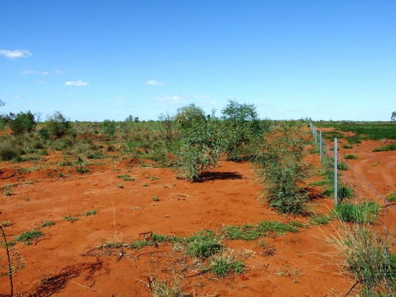 LOT 30 ALBERT PARK ROAD, Charleville QLD 4470