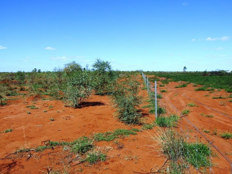 LOT 30 ALBERT PARK ROAD, Charleville QLD 4470