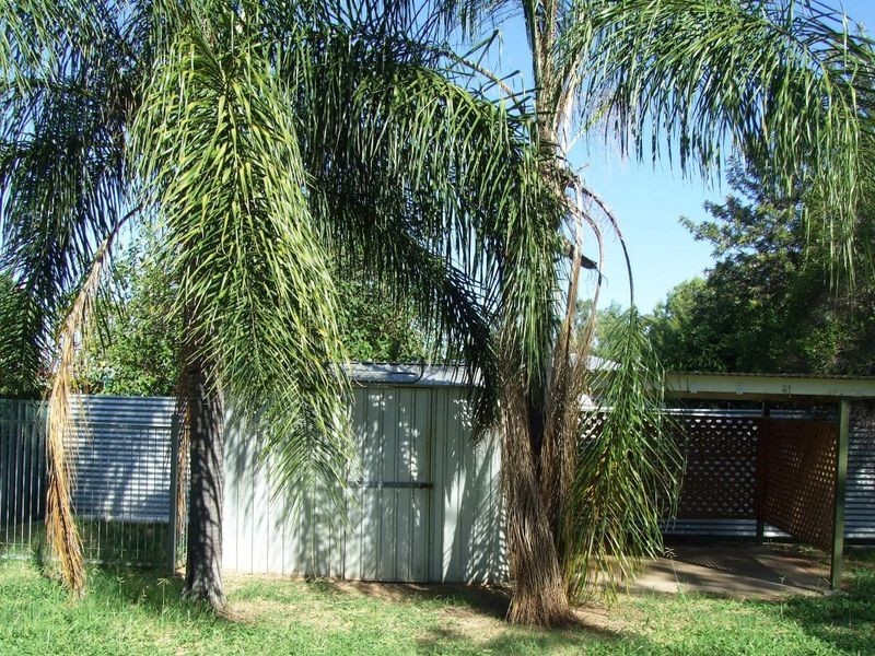 186 GALATEA STREET, Charleville QLD 4470