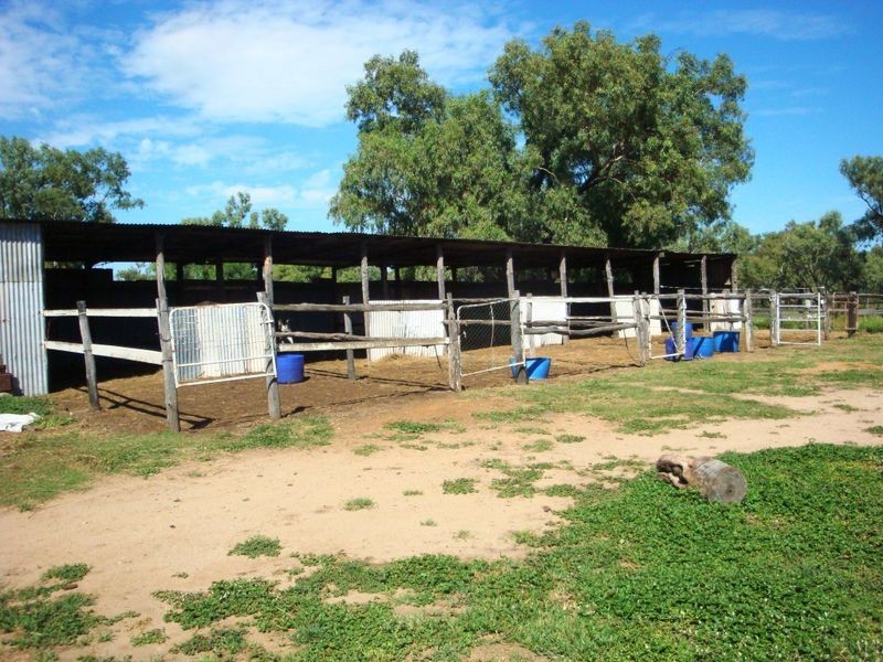 202 COOLABAH STREET, Charleville QLD 4470