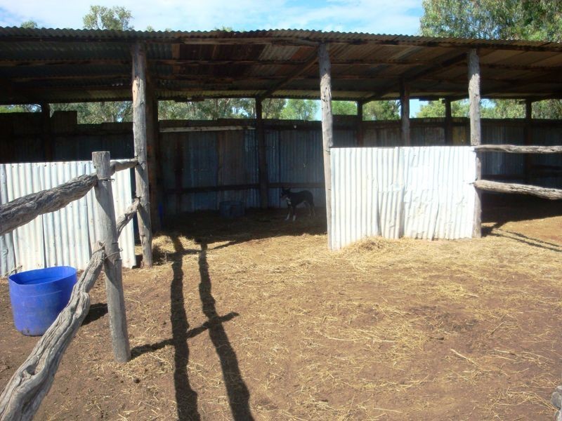 202 COOLABAH STREET, Charleville QLD 4470