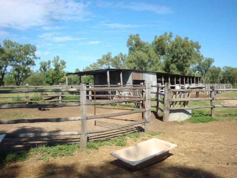 202 COOLABAH STREET, Charleville QLD 4470