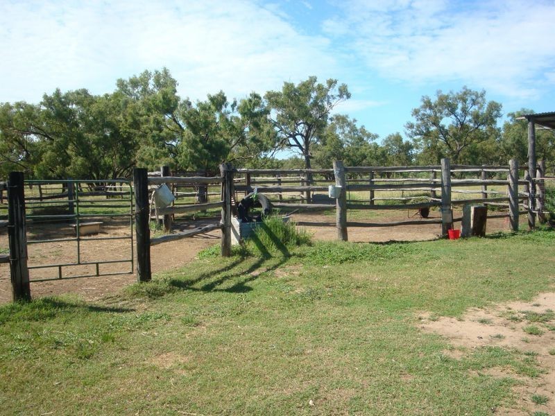 202 COOLABAH STREET, Charleville QLD 4470