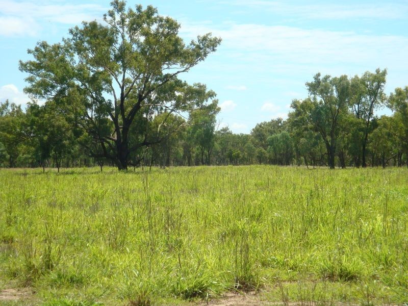 202 COOLABAH STREET, Charleville QLD 4470