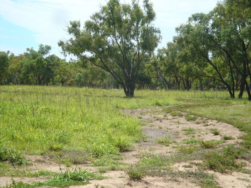 202 COOLABAH STREET, Charleville QLD 4470