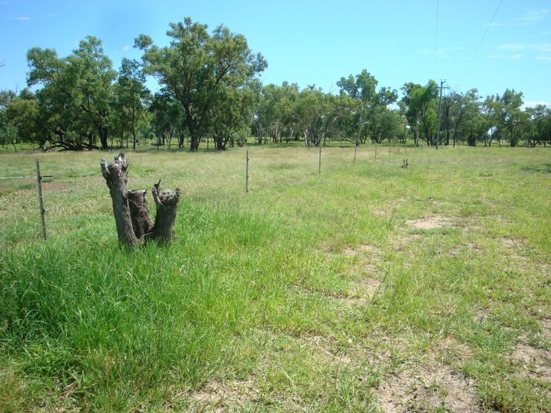 202 COOLABAH STREET, Charleville QLD 4470
