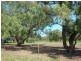 202 COOLABAH STREET, Charleville QLD 4470