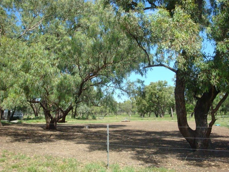 202 COOLABAH STREET, Charleville QLD 4470