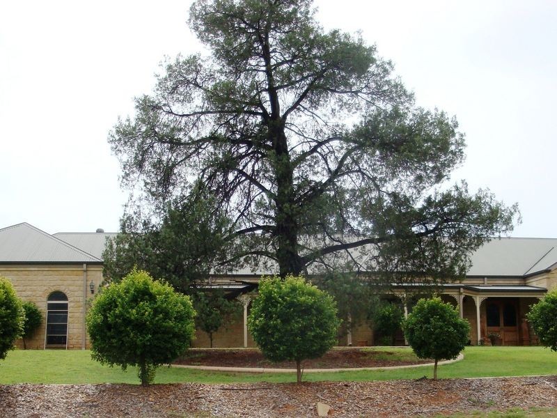 136 BANJARRA DRIVE, Charleville QLD 4470
