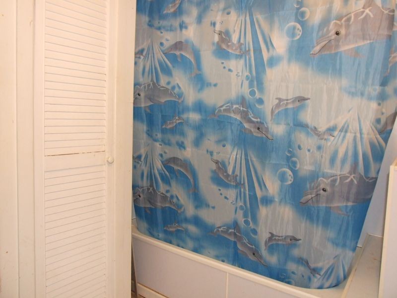 184 ALFRED STREET, Charleville QLD 4470