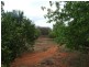 99 RED LANE, Charleville QLD 4470